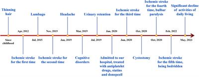 Case report: Heterozygous mutation in HTRA1 causing typical cerebral autosomal recessive arteriopathy with subcortical infarcts and leukoencephalopathy